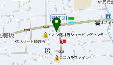 オリジンデリカ イオンフードスタイル藤井寺店の地図画像