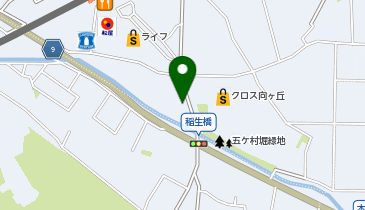 auショップ向ケ丘遊園の地図画像