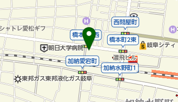 オリックスカーシェア JR岐阜駅前の地図画像