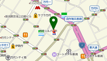 松のや 新潟万代シテイ店 (松屋併設)の地図画像