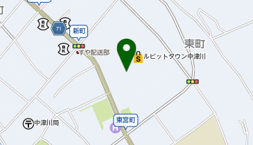 吉野家 ルビットタウン中津川店(テイクアウト専門店)の地図画像