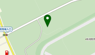 吉野家 新潟競馬場店の地図画像