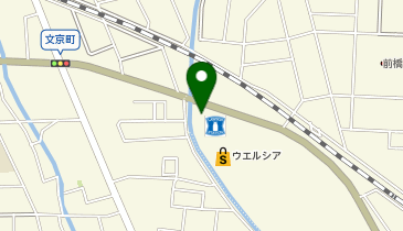ウエルシア前橋天川大島2号店の地図画像
