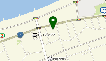 ウエルシア新潟上所中店の地図画像