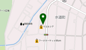 ウエルシア静岡水道町店の地図画像
