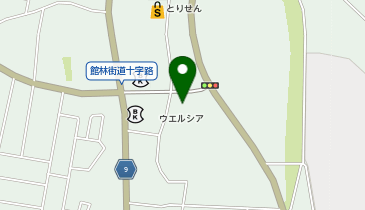 ウエルシア栃木藤岡店の地図画像