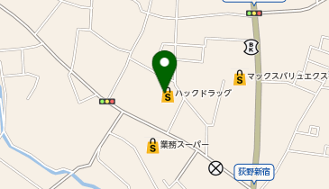 ウエルシア厚木下荻野店の地図画像