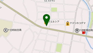 ウエルシア十日町住吉店の地図画像