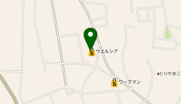 ウエルシア太田鳥山店の地図画像