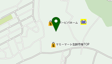 生鮮市場TOP 岩槻府内店の地図画像