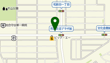 タックルベリー 守谷店(Moriya)の地図画像