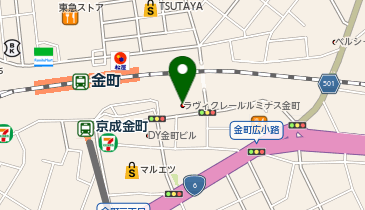 ホットヨガスタジオLAVA 金町店の地図画像
