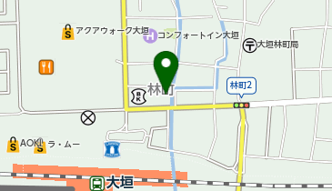 アートネイチャー レディース大垣サロンの地図画像