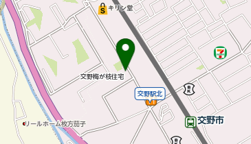 イセヅドライ 交野駅前店の地図画像