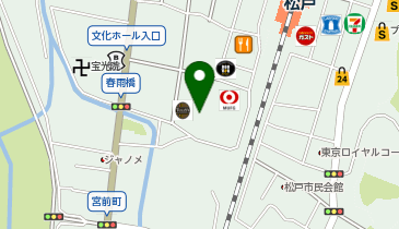 ジョイフル恵利 キテミテマツド店の地図画像
