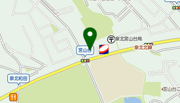 ナップス堺インター店の地図画像