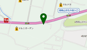 丸源ラーメン 南国バイパス店の地図画像