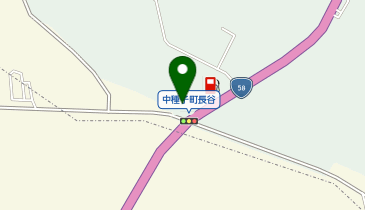 株式会社アクティオ 南種子センターの地図画像
