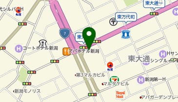 東京東海証券 新潟支店の地図画像