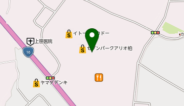 Shelly Coat by honeys セブンパークアリオ柏店の地図画像