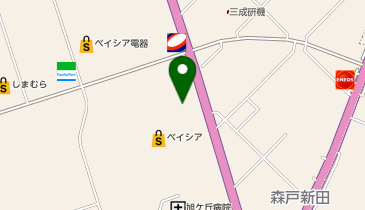 ハニーズ ベイシアひだかモール店の地図画像