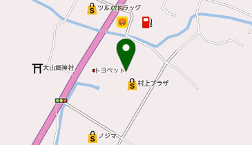 ハニーズ 村上店の地図画像