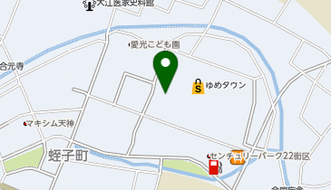 ハニーズ 中津ゆめタウン店の地図画像
