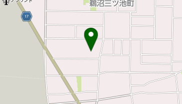 POLA エステインレジーナの地図画像