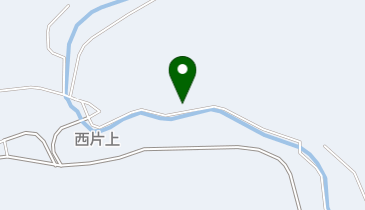 POLA 片上の地図画像