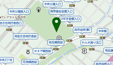 POLA シャンの地図画像