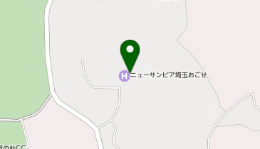 ブルーシール ニューサンピア埼玉おごせの地図画像