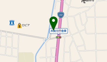 フィットイージー 岐阜本巣店の地図画像