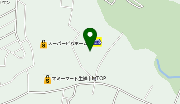 メガガイア岩槻店の地図画像