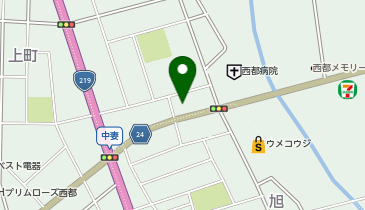 メナードフェイシャルサロン 西都南の地図画像