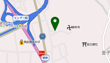 メナード 大井金子の地図画像