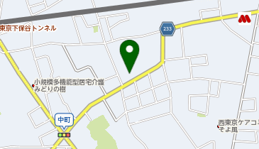 ピー・ラボーヌ ワミレスエステルーム カローレの地図画像