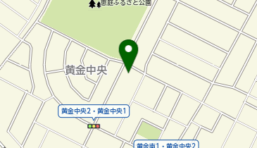 ニチイケアセンター恵庭こがねの地図画像