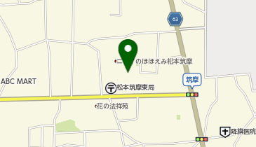 ニチイケアセンター松本中央の地図画像