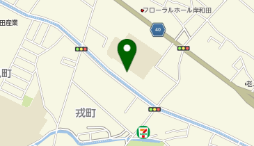 ニチイケアセンター岸和田の地図画像