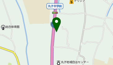 ニチイケアセンター上丸子の地図画像