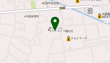 ニチイケアセンター越谷の地図画像