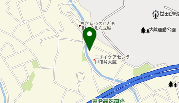 ニチイケアセンター世田谷大蔵の地図画像