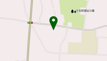 ニチイケアセンター本丸の地図画像