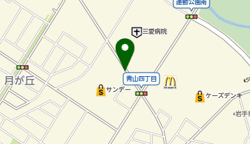 ブルースカイランドリー サンデーホームマート盛岡店の地図画像