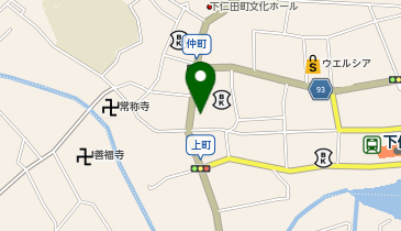 サラダ館下仁田店の地図画像