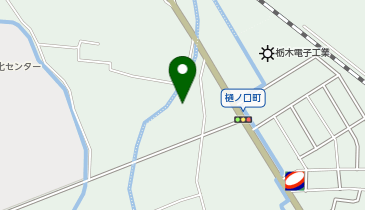 サラダ館 栃木城内店の地図画像