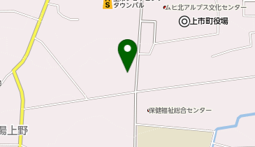 シャディ サラダ館上市店の地図画像