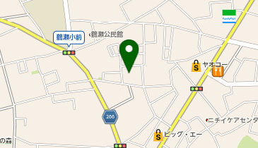 イリーゼふじみのの地図画像