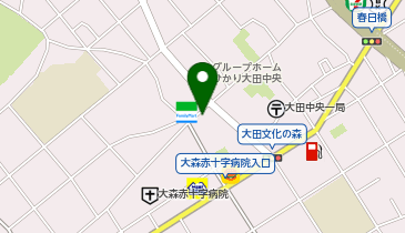 カワイ音楽教室 大田中央の地図画像