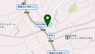 パレット 桜台店の地図画像